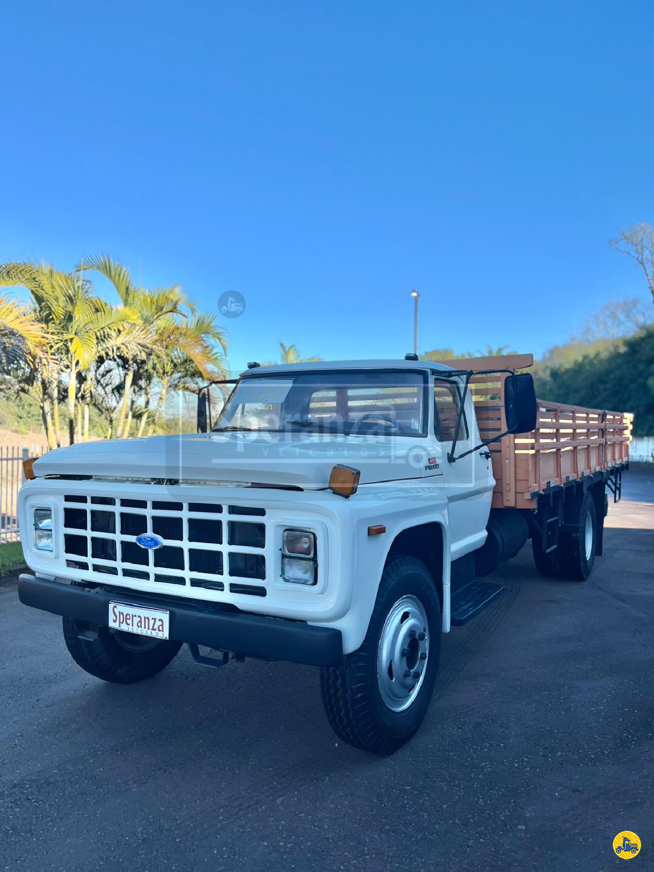 CAMINHAO FORD F11000 Carga Seca Toco 4x2 Speranza Caminhões GARIBALDI RIO GRANDE DO SUL RS